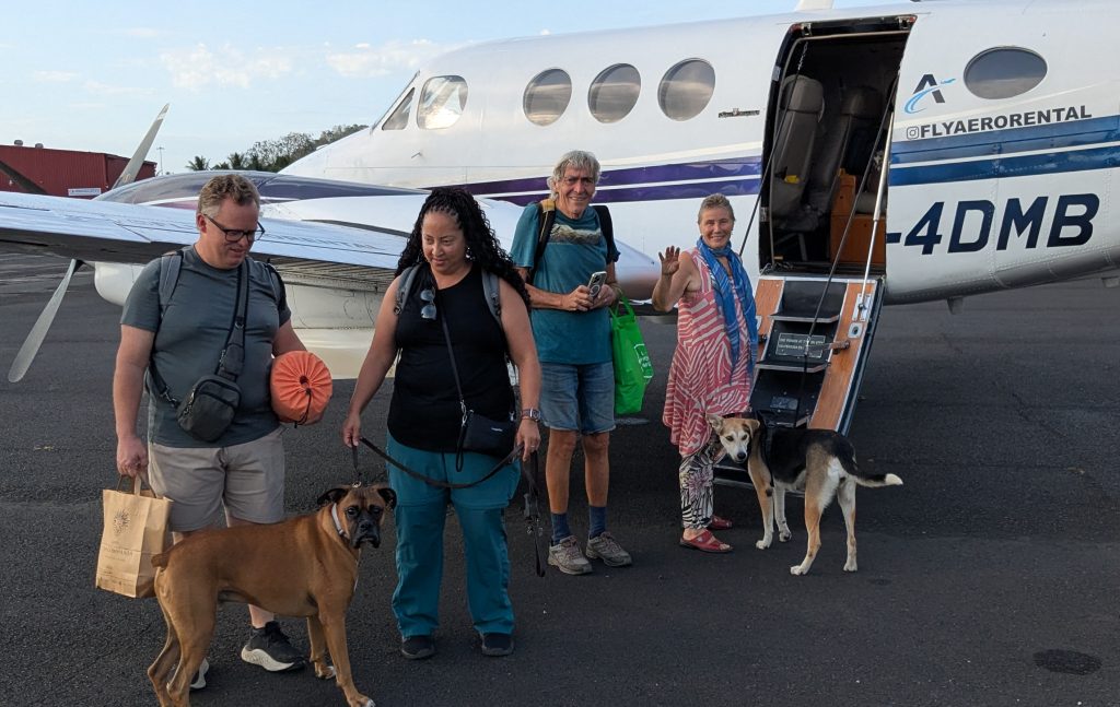 Pet Transfer to Cartagena_cr