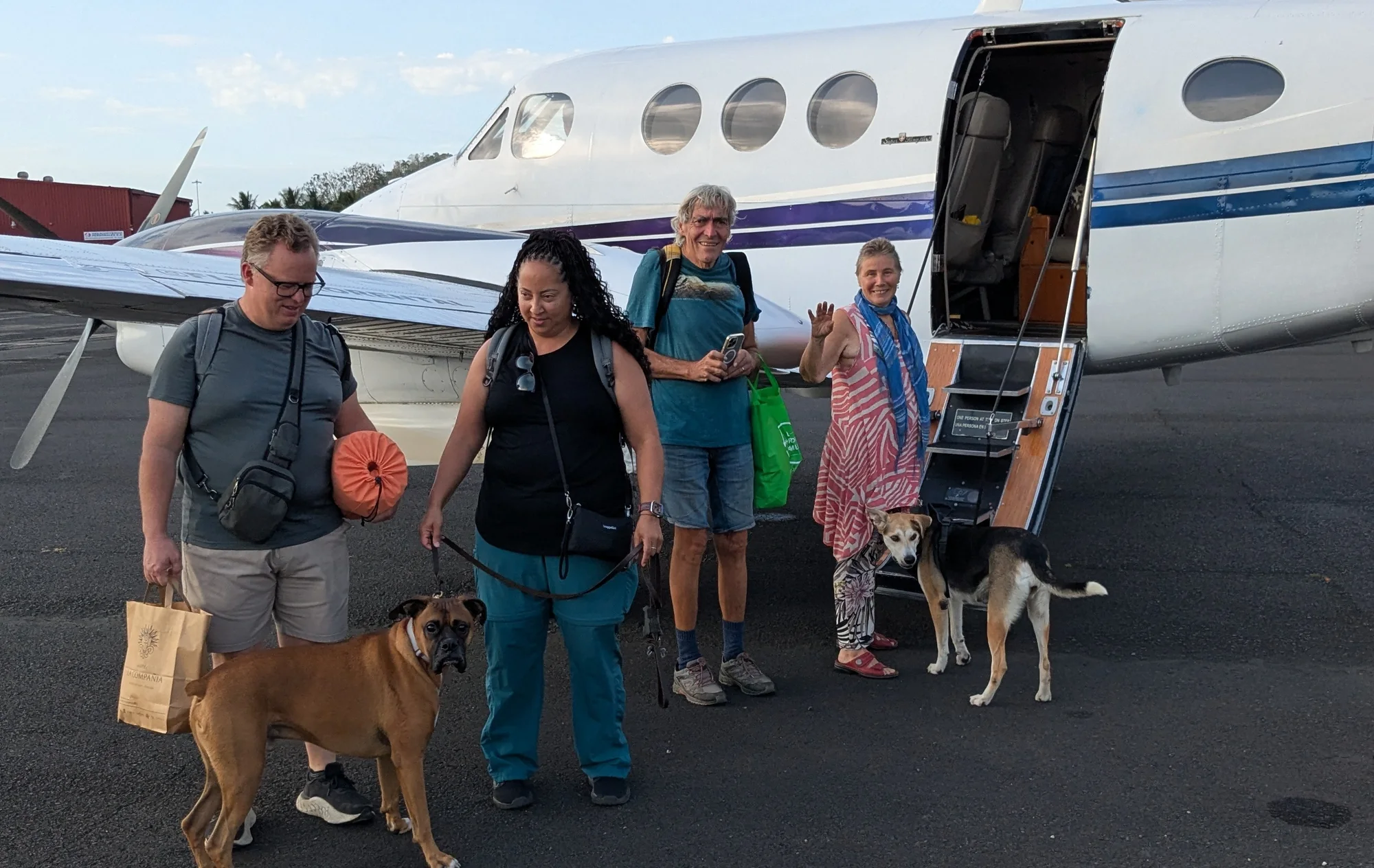 Pet owners and their dogs beside a private aircraft before flying from Panama City to Cartagena